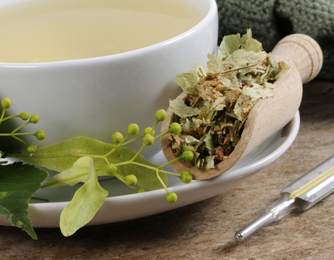 kantaron çayı ve bitkisi