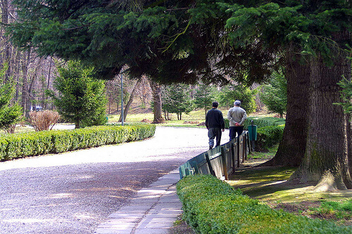 parkta yürüyüş
