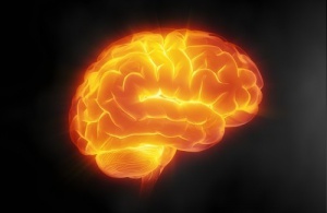 Beyin Sağlığı İçin Dikkat Etmemiz Gereken 7 İpucu