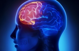 Hafızanızı Geliştirecek Ev Yapımı Meyveli İçecekler