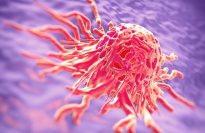 Kanserle Savaşan Şifalı Bitkiler