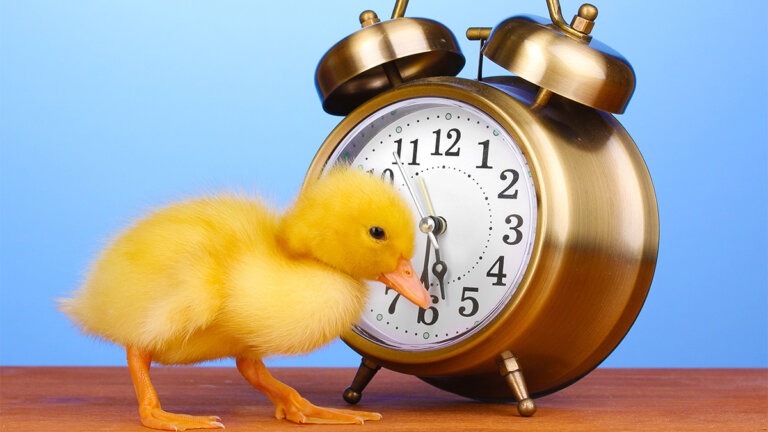 Başarılı İnsanların Sabahları Yaptığı Dört Şey