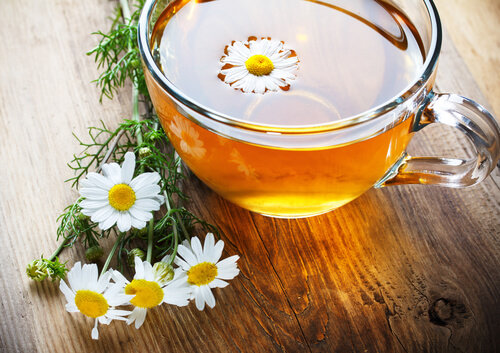 chamomile-2