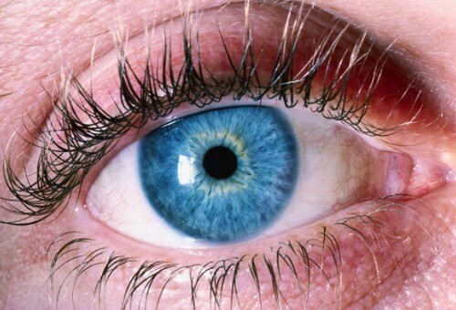 Alzheimer Hastalığını Teşhis Etmek İçin Gözlerinize Bakın