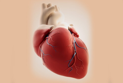 kalp krizi semptomları
