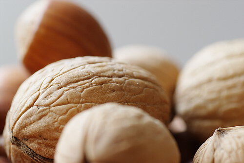nuts-steffenz1