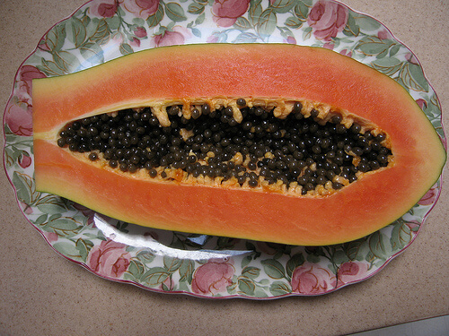 papaya