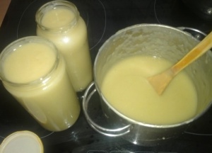 Ev Yapımı ve Doğal Temizlik Ürünleri