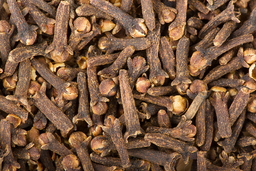 karanfil fotoğrafı