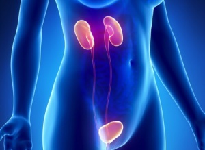 Böbrek Yetmezliğinin 10 Belirtisi