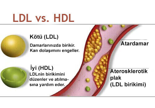 kolesterol