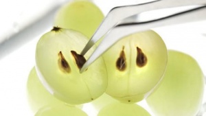 Üzüm Çekirdeğinin Sağlığımız İçin 8 Faydası