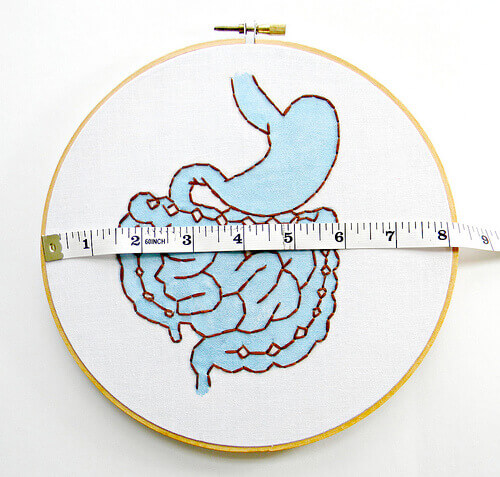 onikiparmak bağırsağı