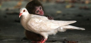 Dokunma ve Olağanüstü İyileştiren Gücü