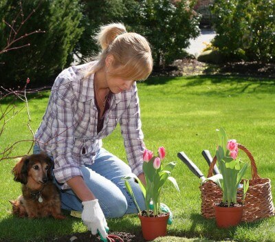 bahçe bakımı yapan kadın ve köpeği