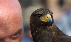 Duygu Avcıları ve Onlardan Korunmak