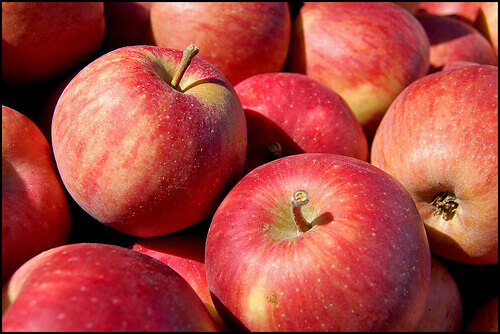 zayıflamanızı sağlayacak meyvelerden elma