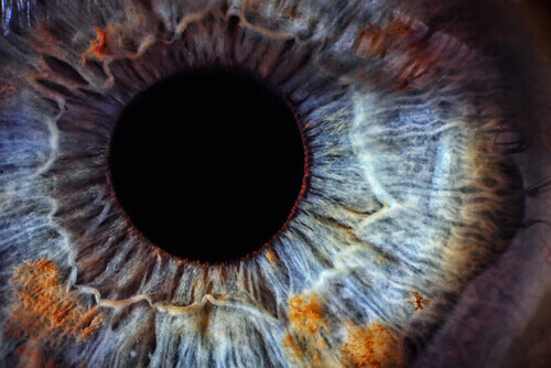 Gözlerin Sağlık Durumuyla İlişkisi Nedir
