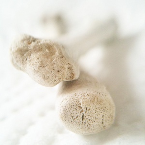 Sağlıklı ve Güçlü Kemikler için Nasıl Beslenmeli?