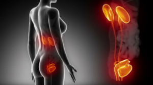 Tuvalete Gitmediğinizde Yaşayabileceğiniz Sorunlar