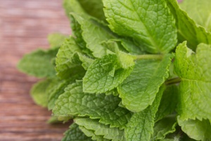 Bahçe Nanesi ve Harika 5 Faydası