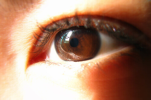 kahverengi göz