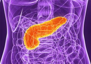 Pankreas Bakımı için 5 Öneri