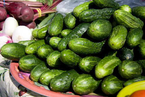 taze salatalık