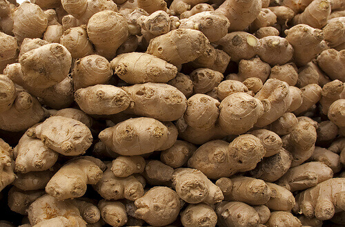 çok sayıda zencefil