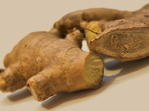 zencefil