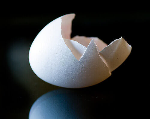 beyaz yumurta kabuğu