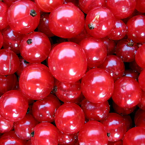 cranberries
