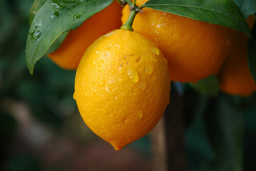 limon