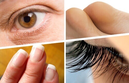 Hint Yağının Faydaları Nelerdir?