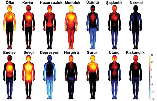 Olumsuz Duygu ve Düşüncelerin Vücuda Zararları