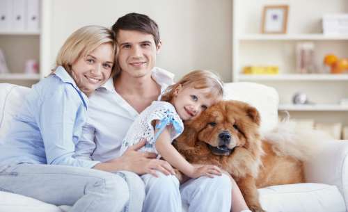 aile