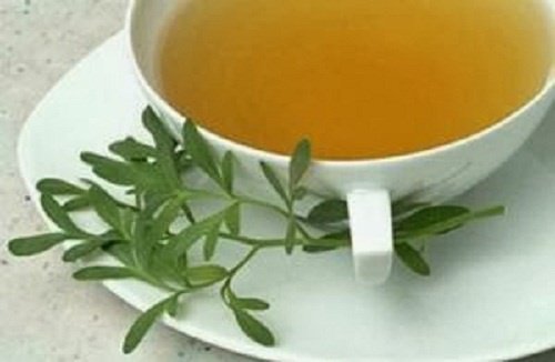 Sedef Otu ve Bazı İlginç Kullanım Alanları