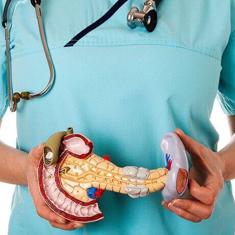 pankreas doktor