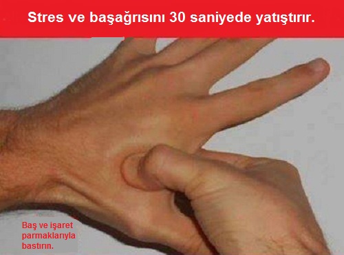 aküpresür egzersizi