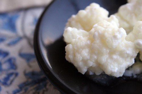 bir miktar kefir