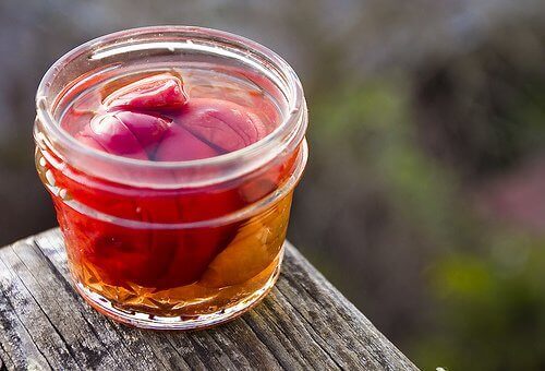 umeboshi mide yanması