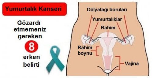 kadın organları şeması