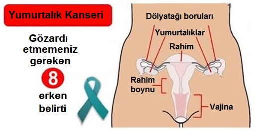 yumurtalık