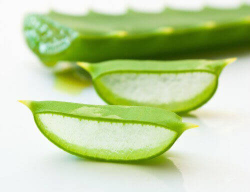 aloe-vera