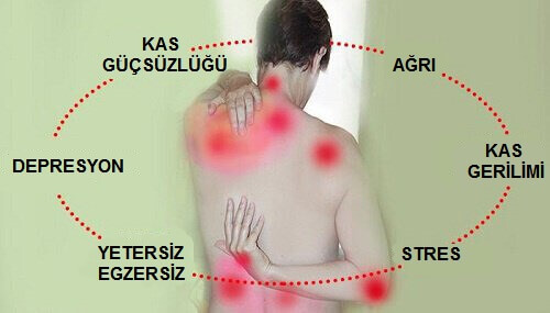 Fibromiyalji Tedavisi İçin Doğal Yöntemler