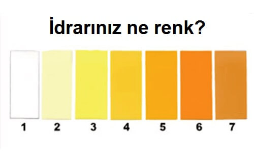 Sağlık Durumunu Anlatan 8 İdrar Rengi