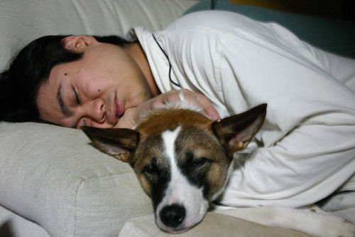 köpeğiyle uyuyan adam