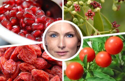 Yaşlanma Karşıtı 7 Himalaya Mucizesi