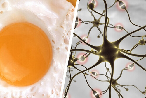 Güçlü Bir Hafıza İçin Tüketmeniz Gereken Yiyecekler