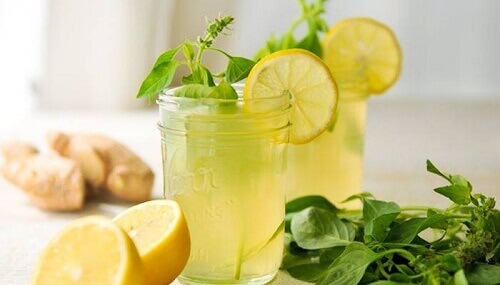 zencefil-limon-nane